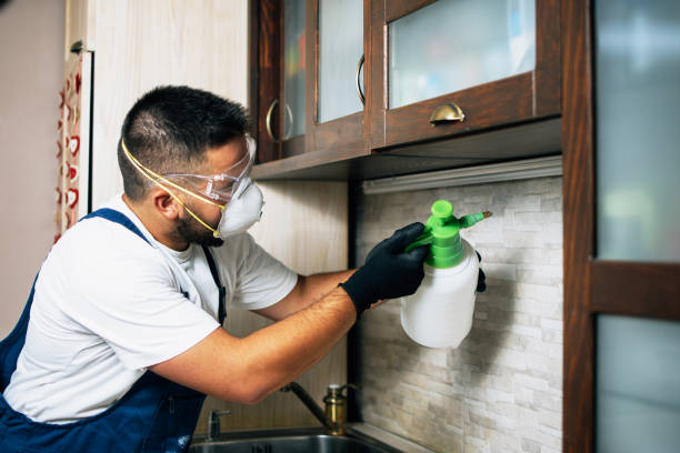 Best Emergency Pest Control  in Union Grove, WI