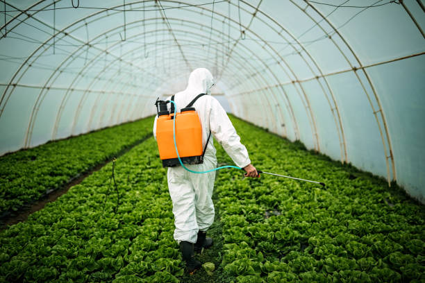 Best Pest Control for Restaurants  in Union Grove, WI