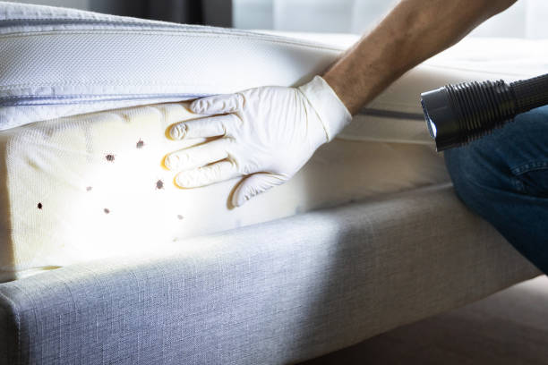 Best Pest Removal Services  in Union Grove, WI