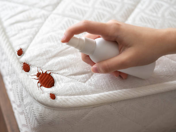 Best Pest Control for Homes  in Union Grove, WI